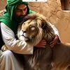 amer.almhde