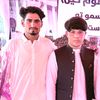 safi10431