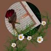 muneezaabbas
