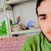 raiz.wazir4