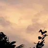 begao_xinkiu