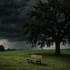 nature__37