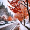 coldseasons.tok