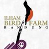 ilham.birdfarm