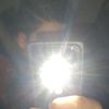 amiraliminaey