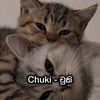 Chuki-චුකි