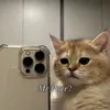 adsmrpiter