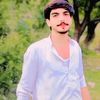 gulzab.ch
