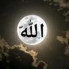 azis.saputra2949