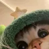 its.ien