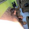 rafi.syapurata5213