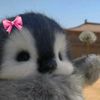 jana_3ssam3