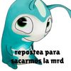 elgotito3223