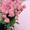 leomarys1612_