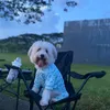 chloeefinds0309