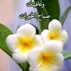 user4031039390560