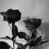 mylove_221024