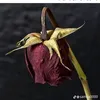 15534556982968re_ro38