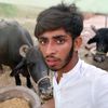 muhammad.notkani0