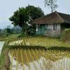 user70131302460105