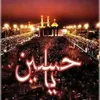 um.zainab977