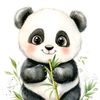 panda17374