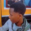 the.wise549