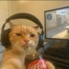 _burtsymogs