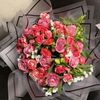 ina.ibrahim492