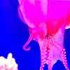 y.l.nhm