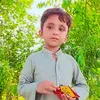 zahid.jhan8