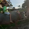 alexsander_azevedo444