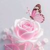 omyosef7894
