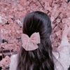 ___h_ansii_____11.11
