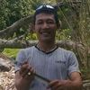 niedjo.hombing