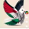 rehma.rehma72