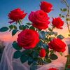 manishbk69