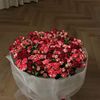 hajer70764