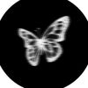 masbeempersaud916