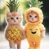 kitti.ai