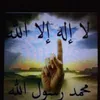 alli.ag7