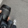 WS. Photographer