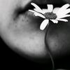 basma__basma8