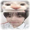 linaamnt0