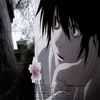 bloomvoidd