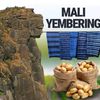 mali.yemdering.dia
