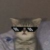 user959501072