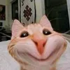 khi.nghip.2