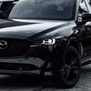 zulfikar.874