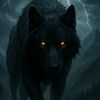 rexwolf27
